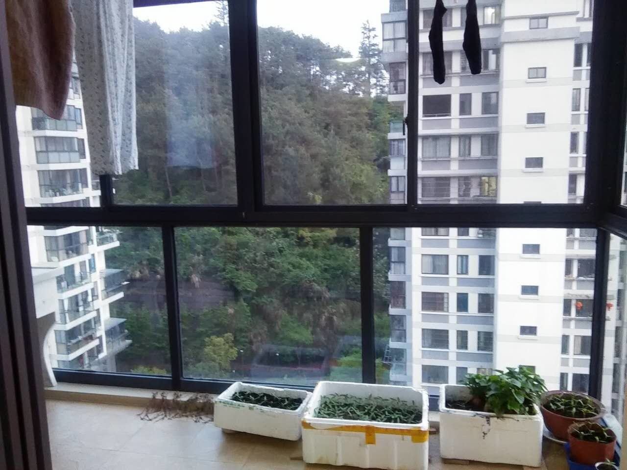 杭州金夫人的小窝酒店式公寓