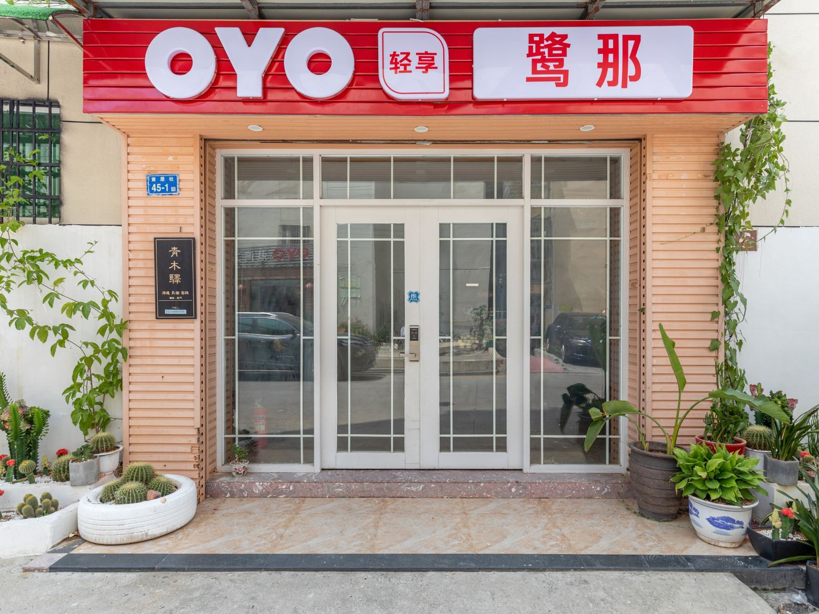 外观