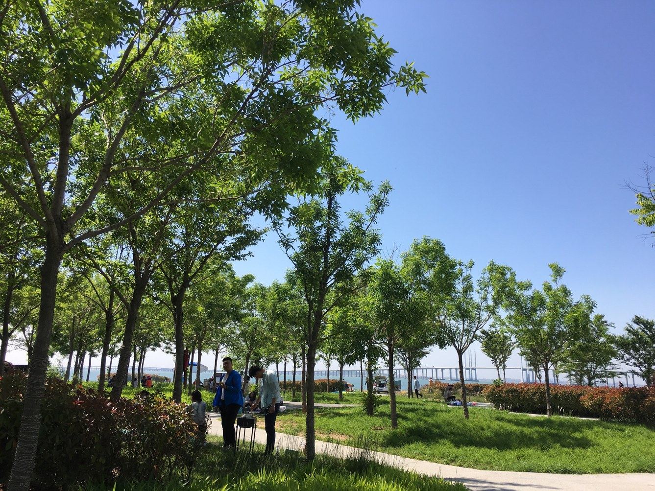 青岛张大胆公寓
