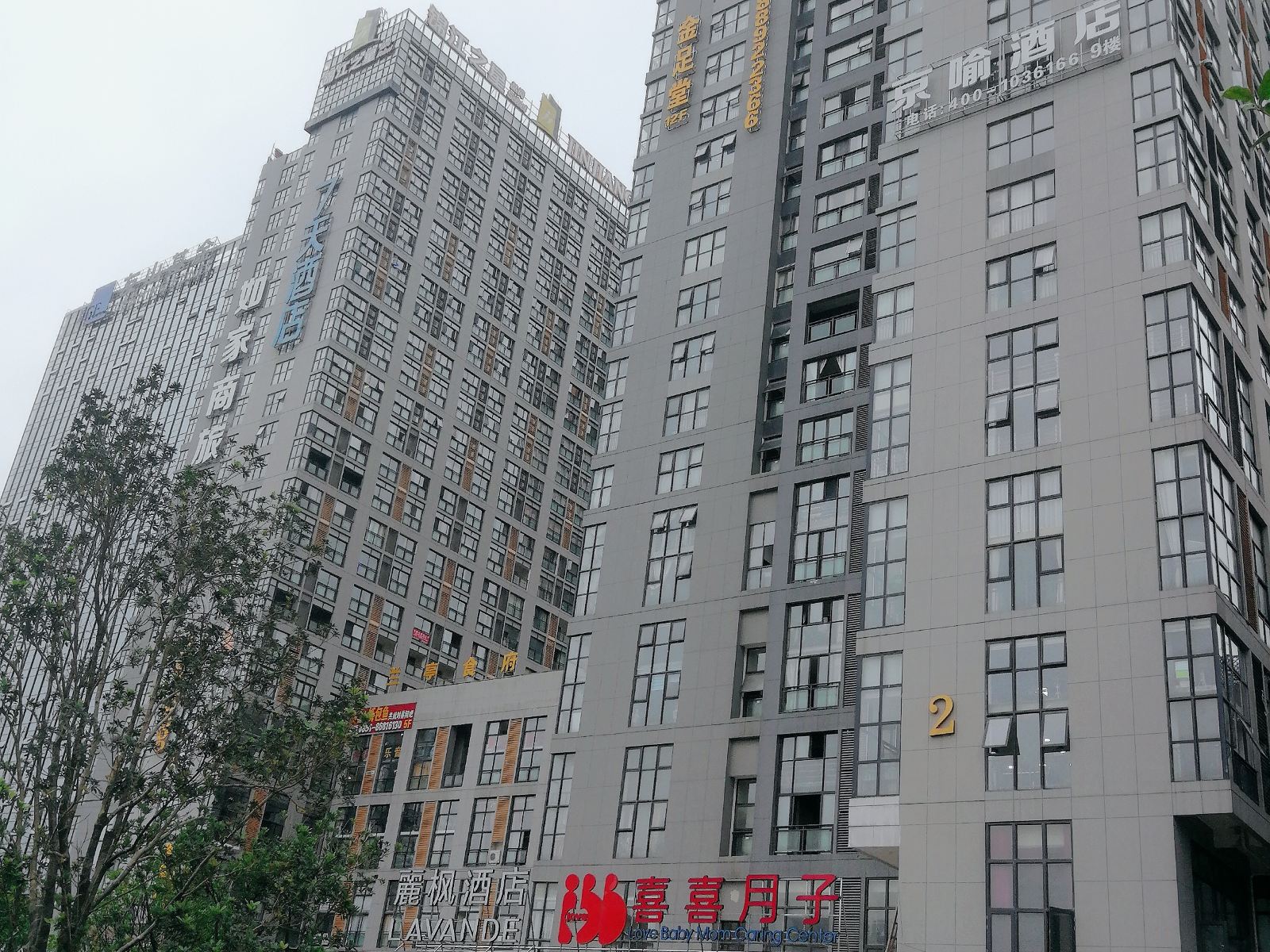 外观