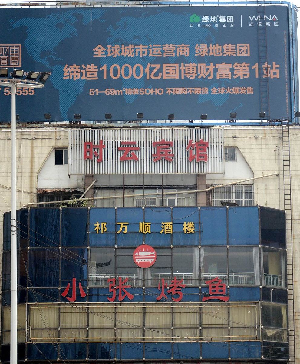 外观