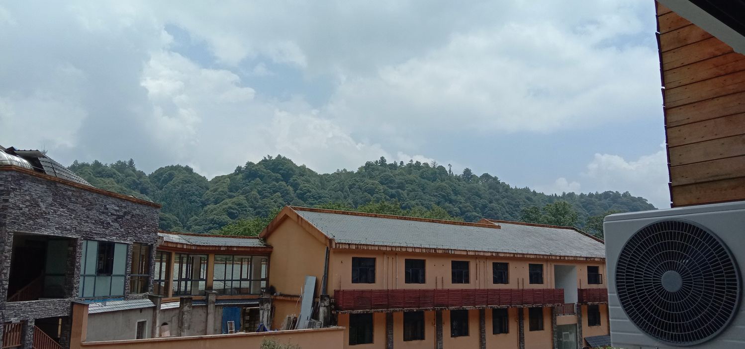 其他