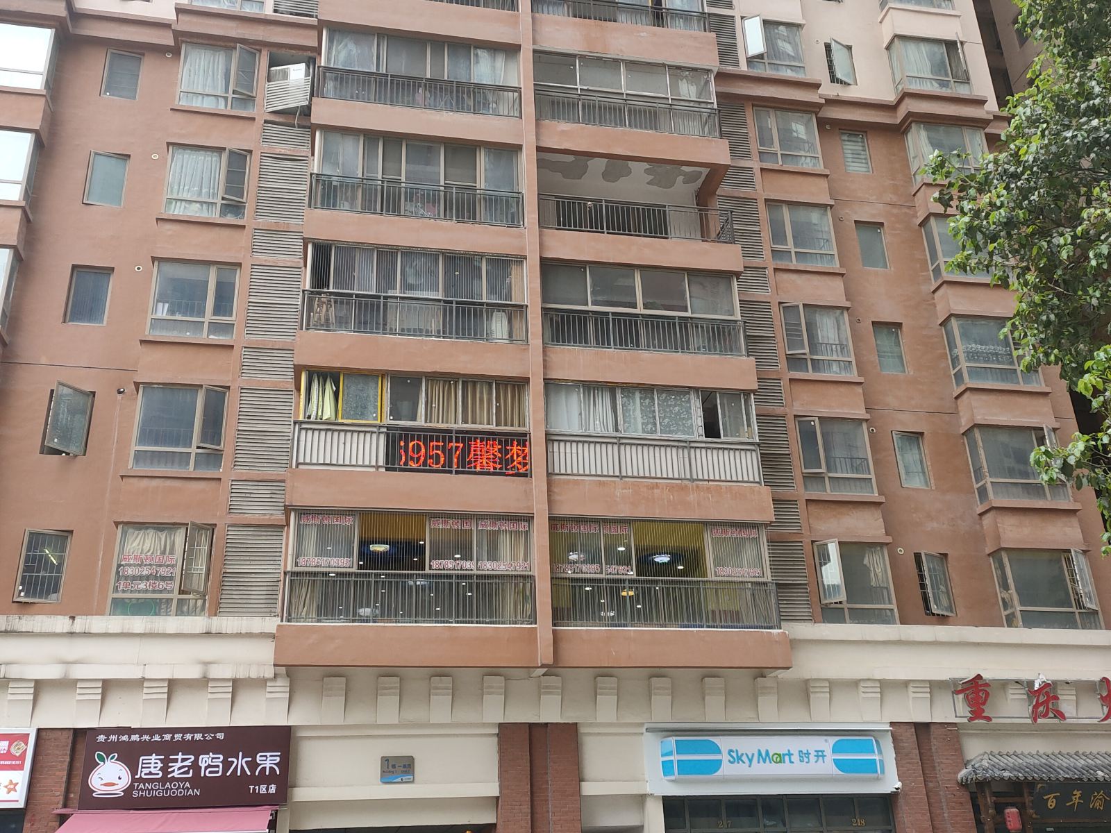 外观