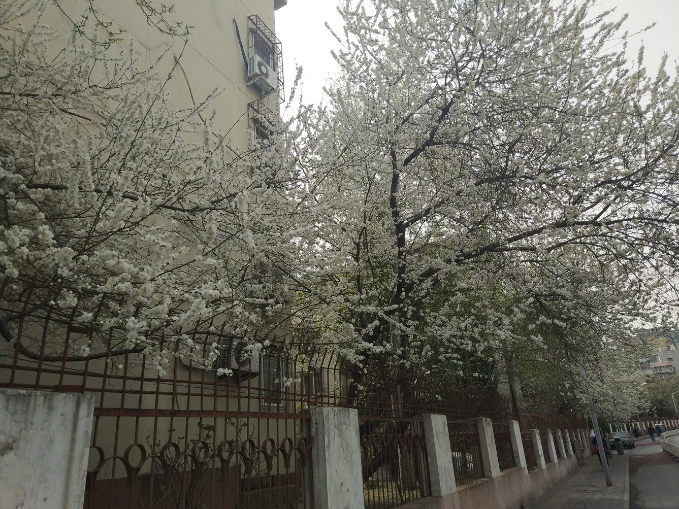 北京QiQiMeng公寓(4号店)
