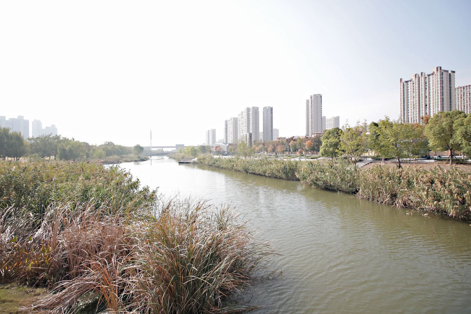 上海周先生公寓(2号店)