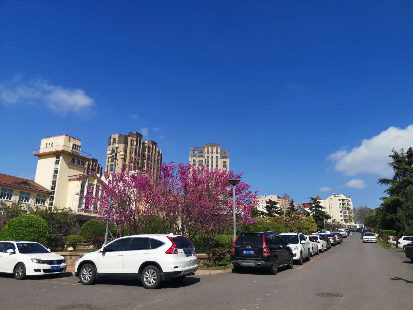 青岛海滨花园大酒店