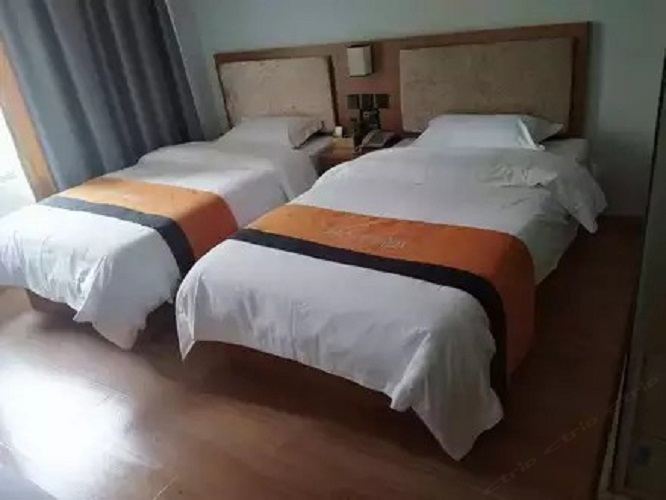 高级双床房