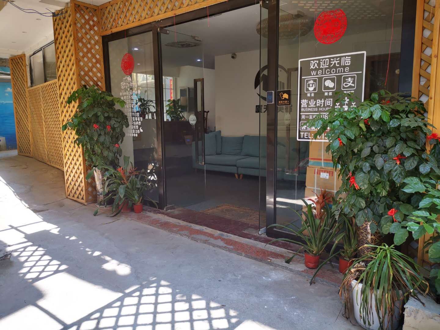 外观