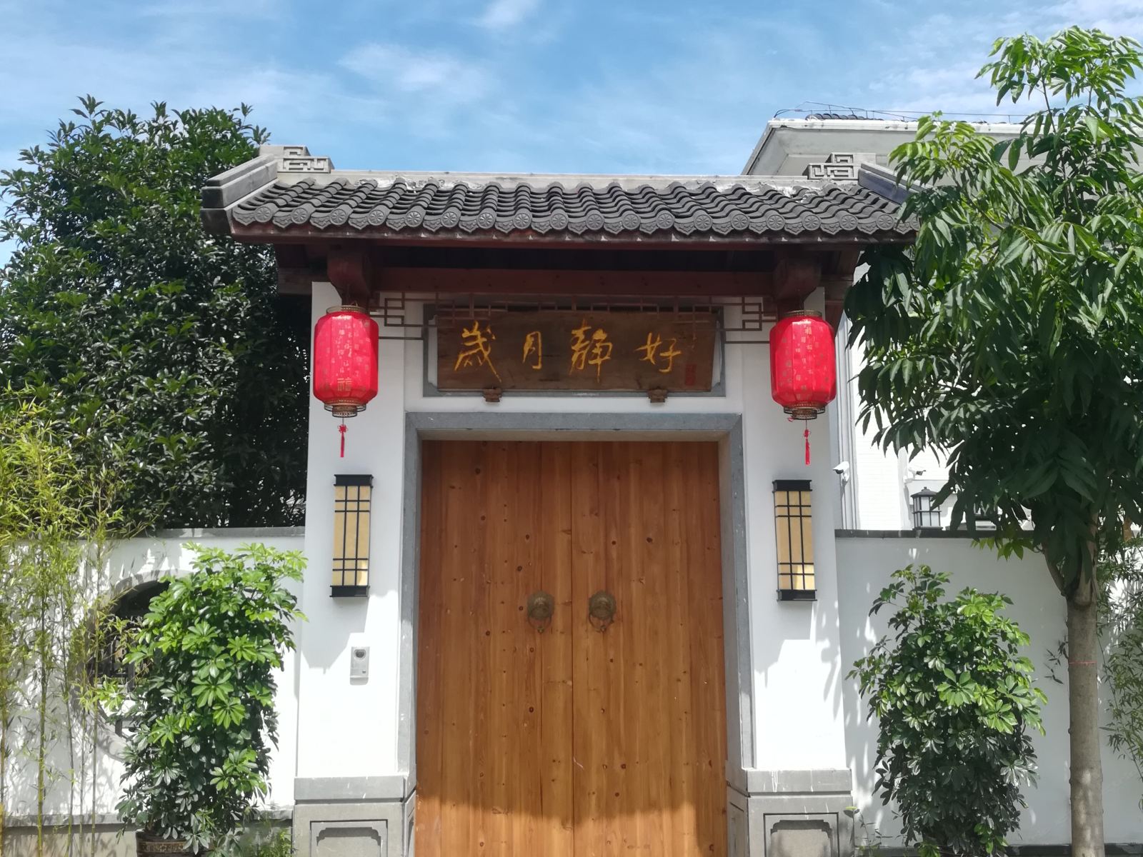 外观