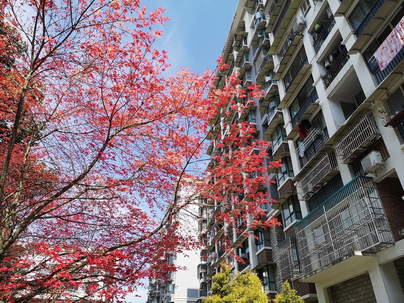 成都康子公寓