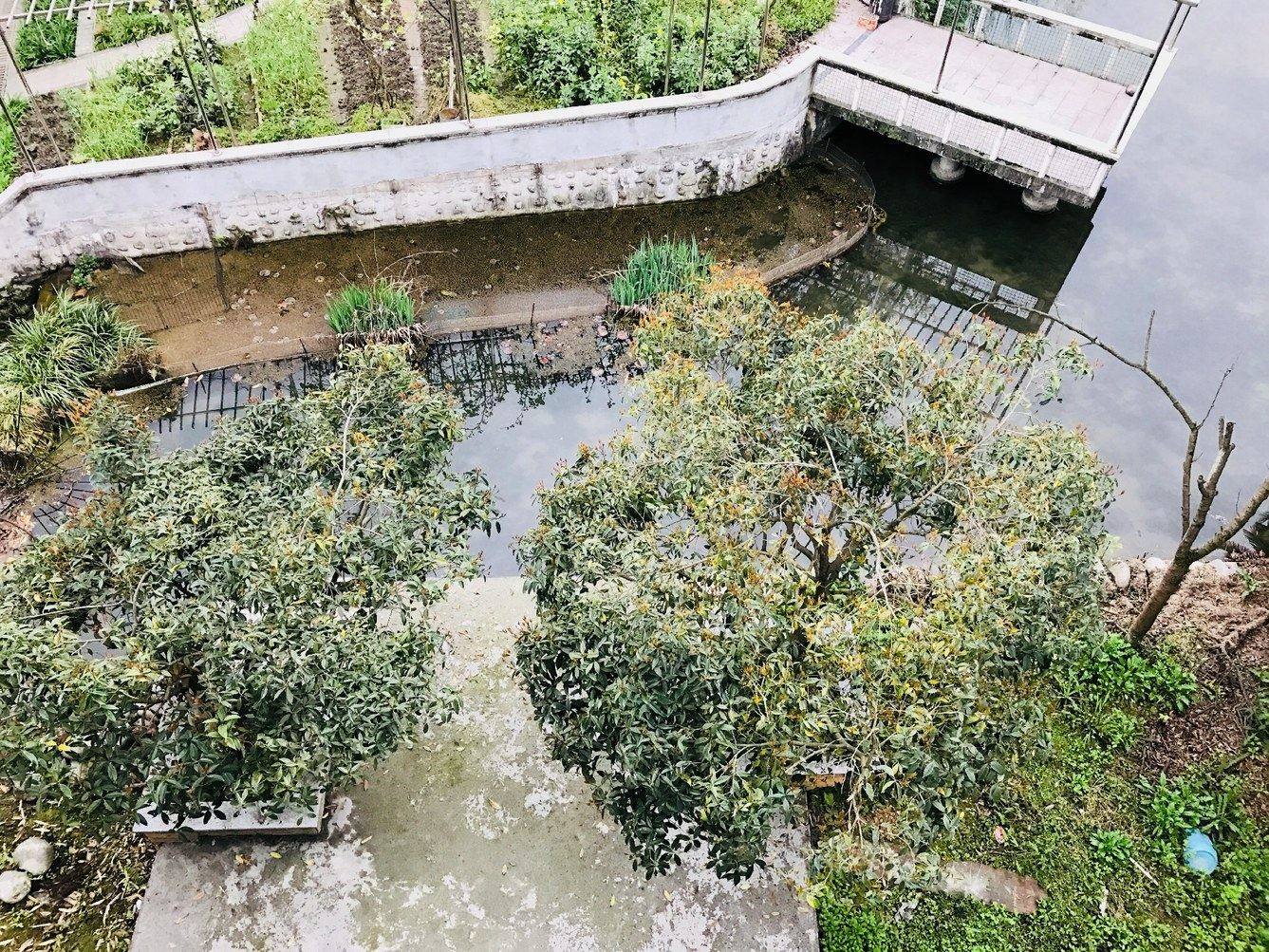 成都环球旅行达人哆哆的破房子度假别墅(2号店)