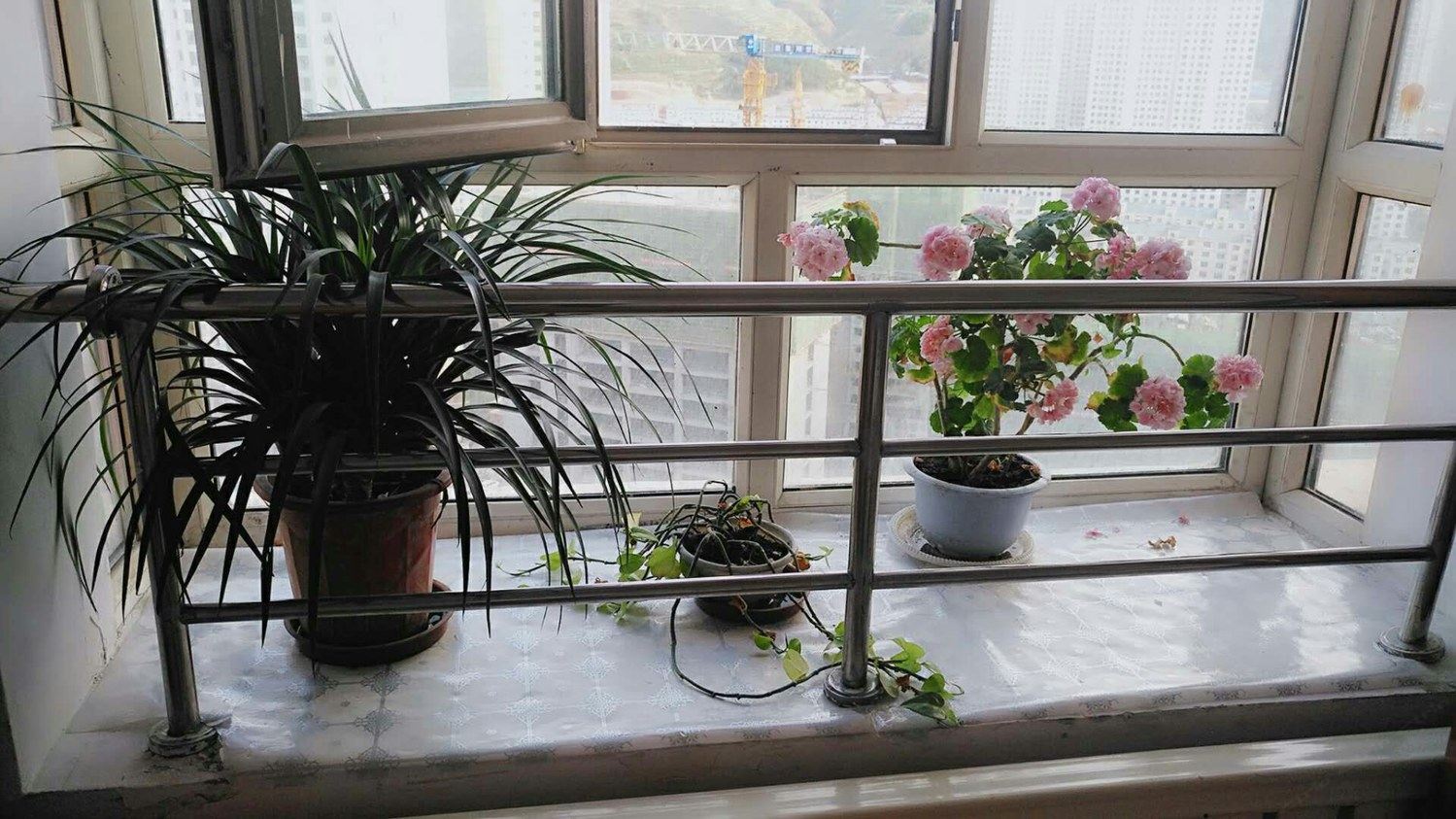 西宁青青家庭宾馆