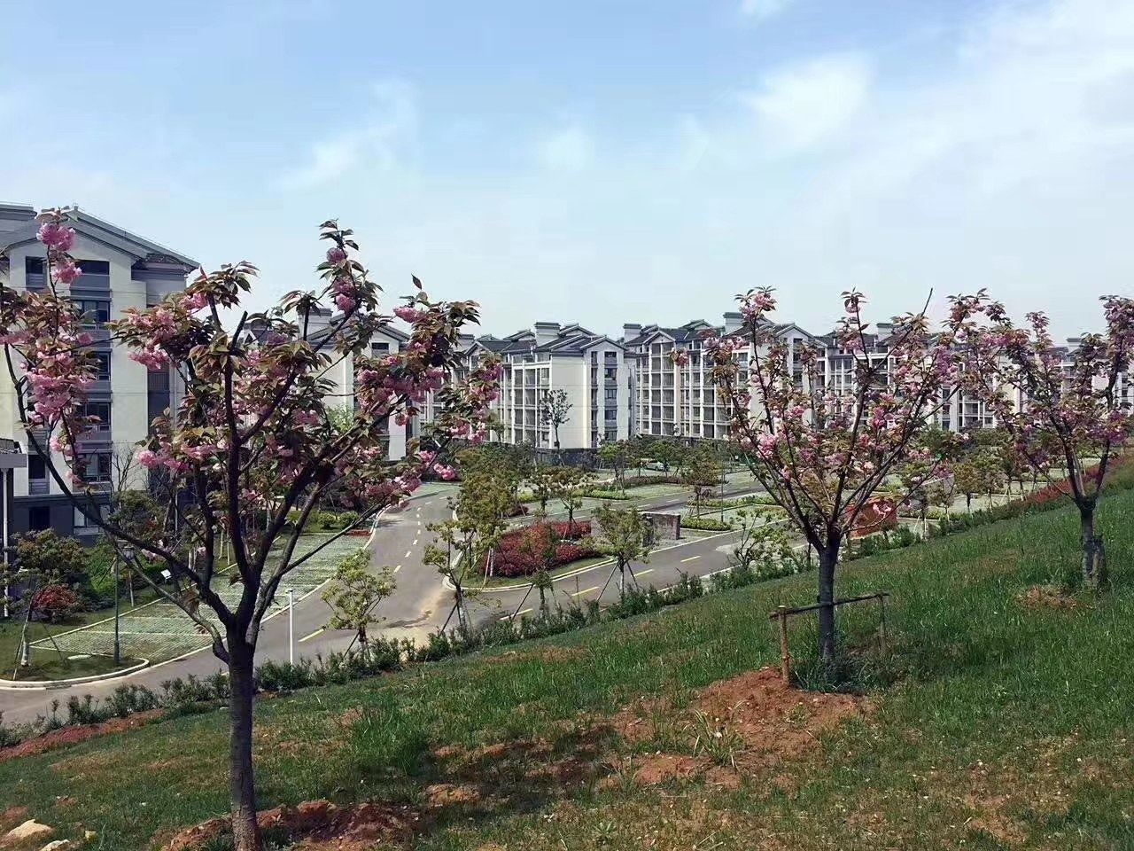 常州简的小屋