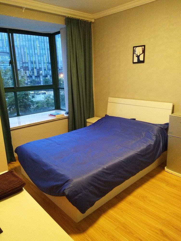舒适一室单床房