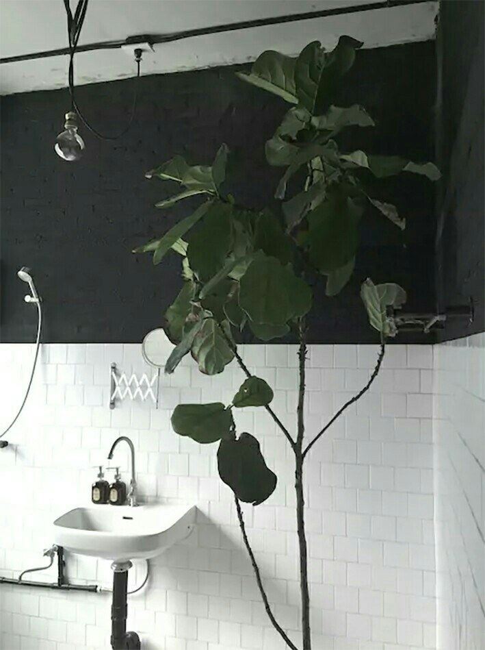 整套房