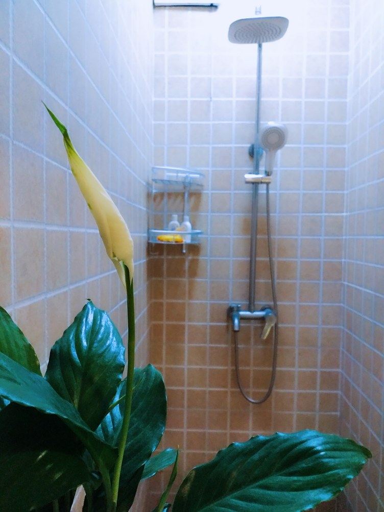 花园一室一厅套房