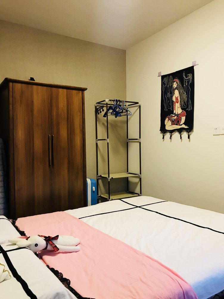 舒适二室二厅套房