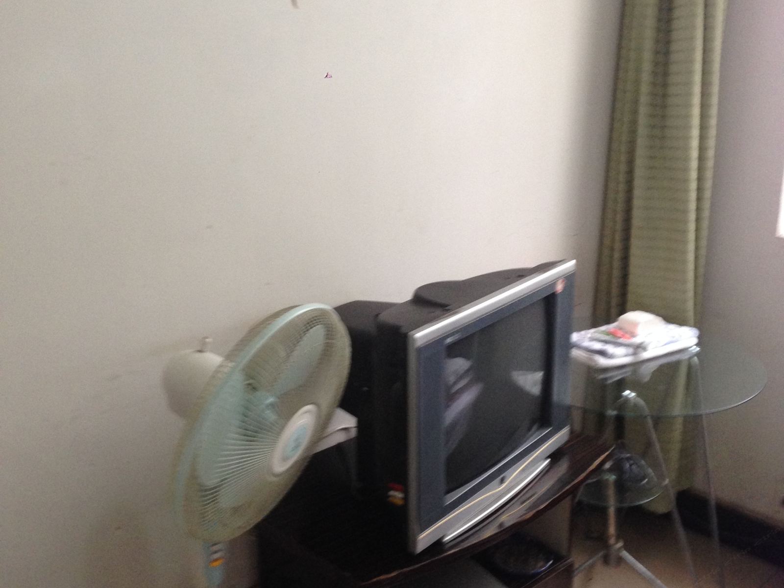 标准双人间