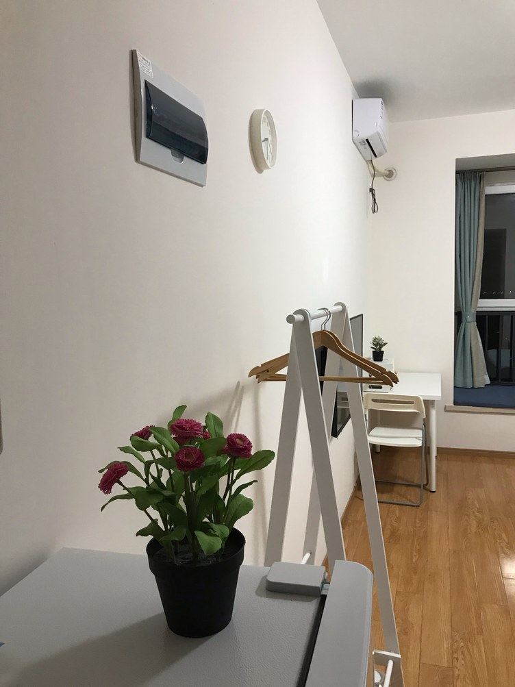 精致一室大床房