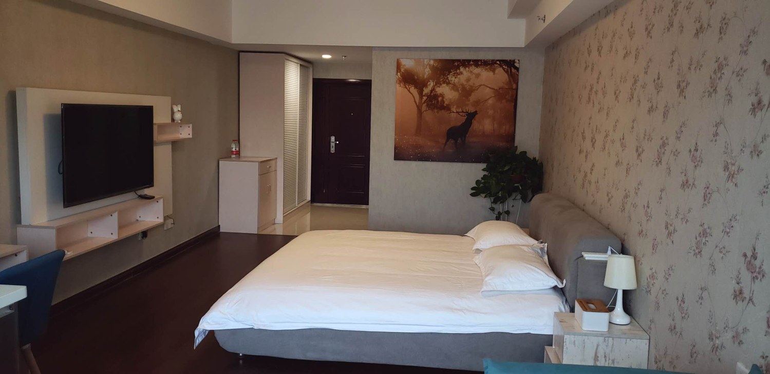 精致一室大床房