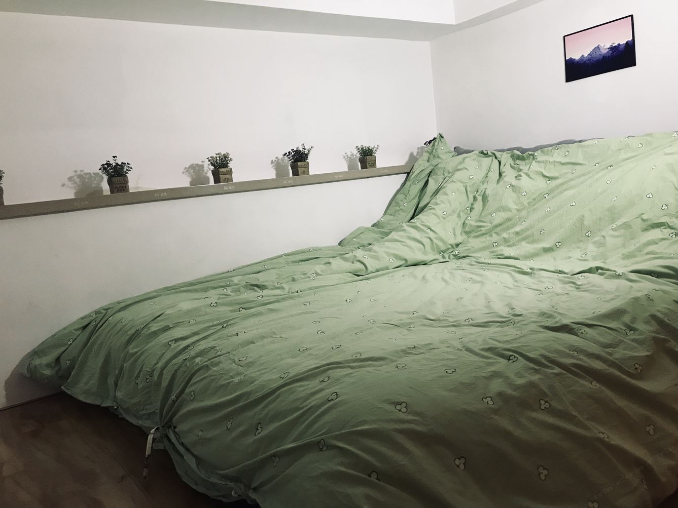 普通loft一室一厅套房