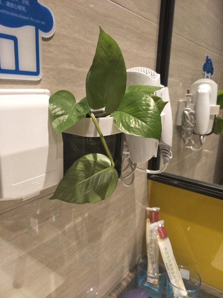 舒适一室大床房