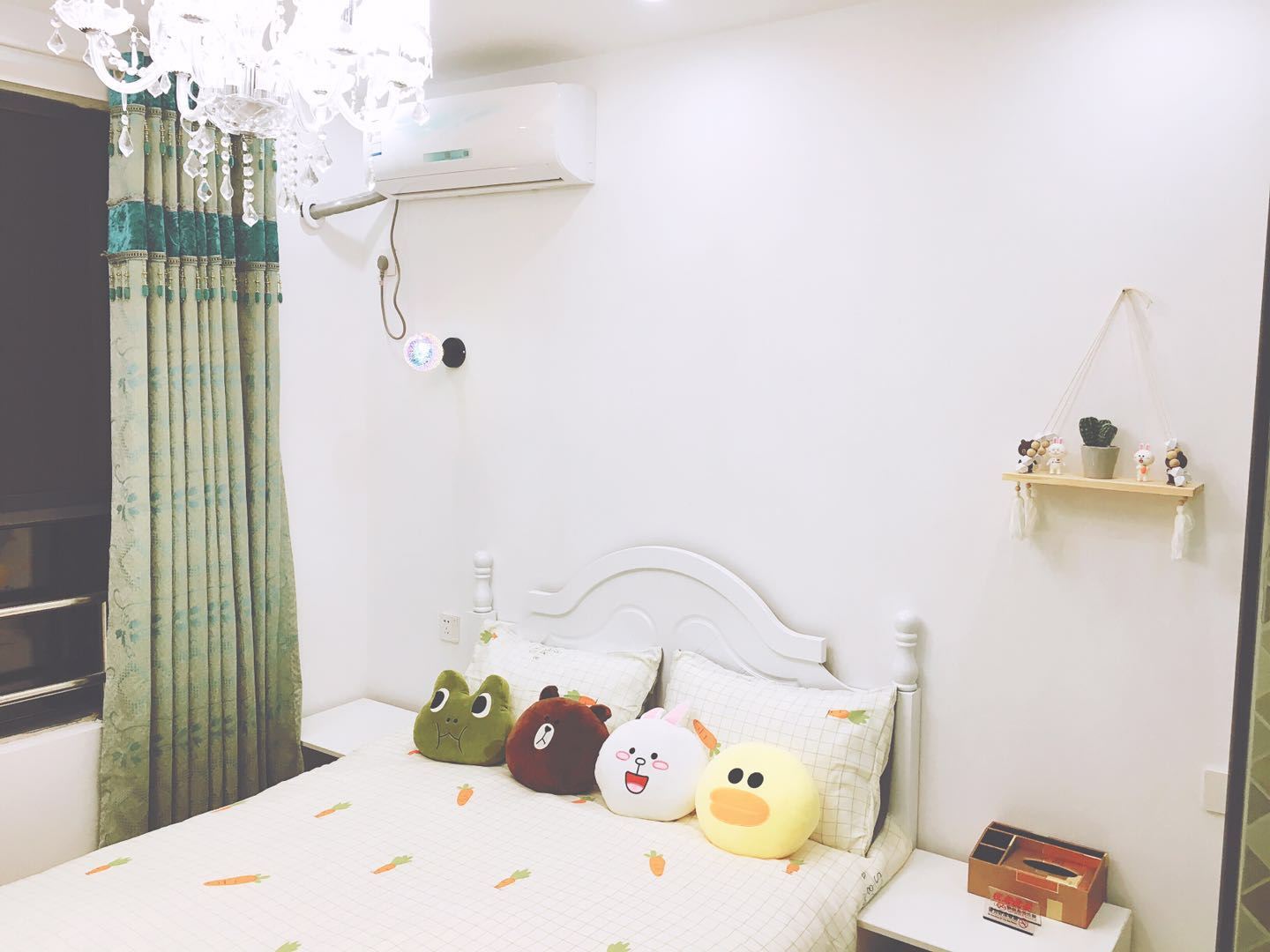 布朗熊和可妮兔