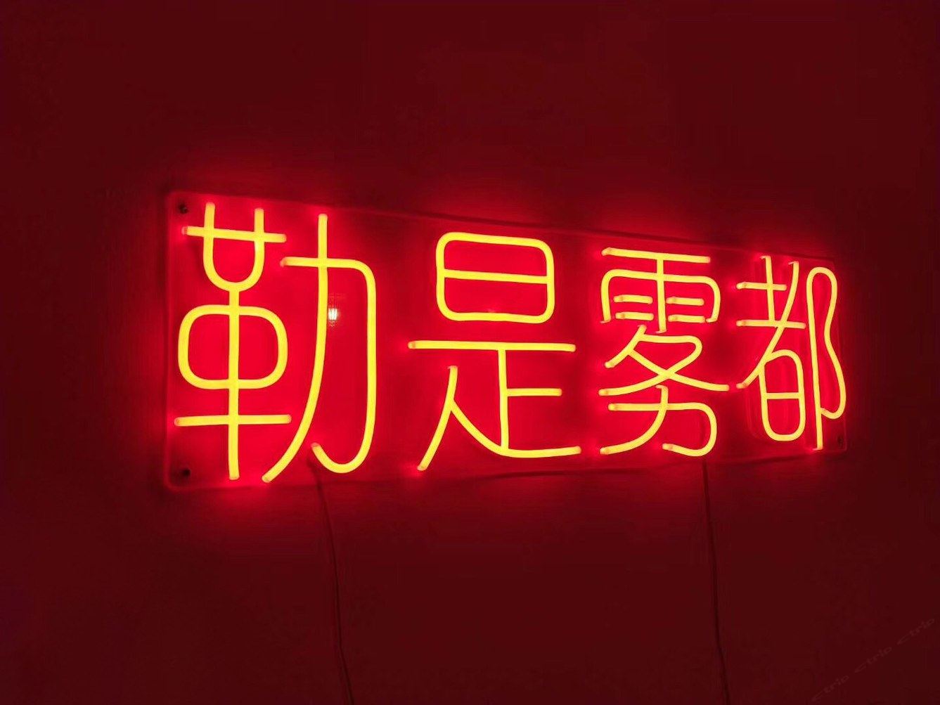 其他