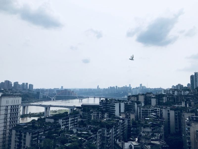 重庆社会人佩琪呐～客栈