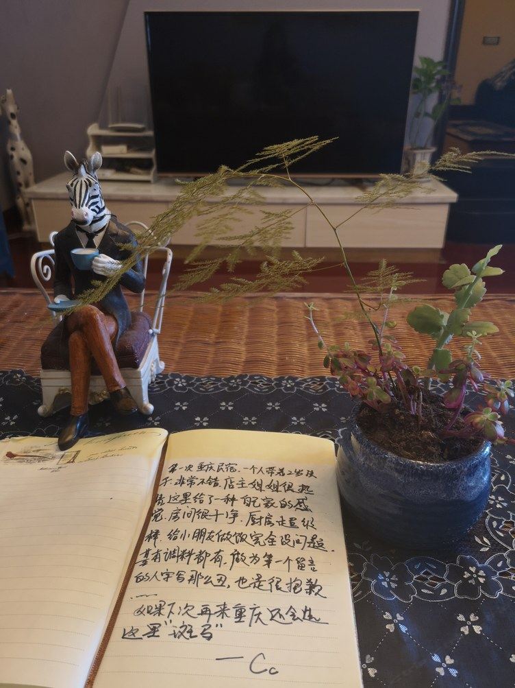 其他