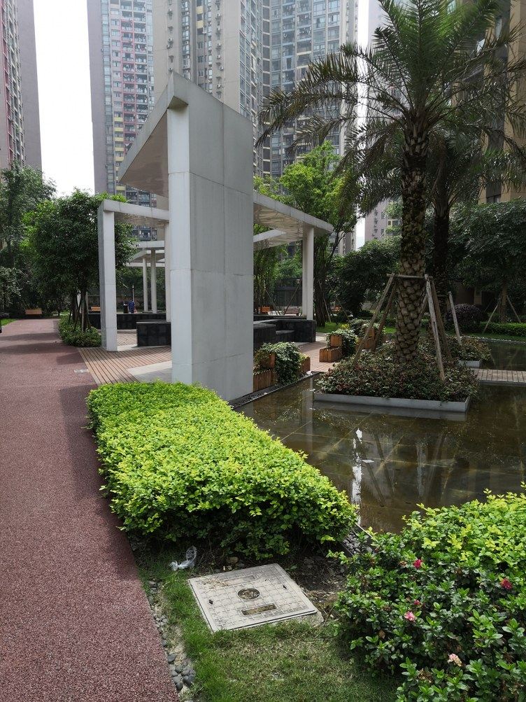 重庆郑元新公寓(6号店)