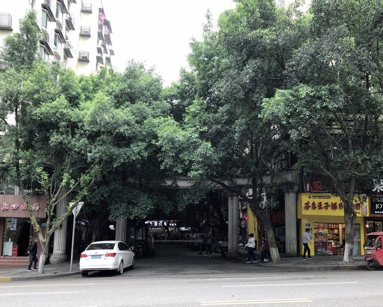 其他