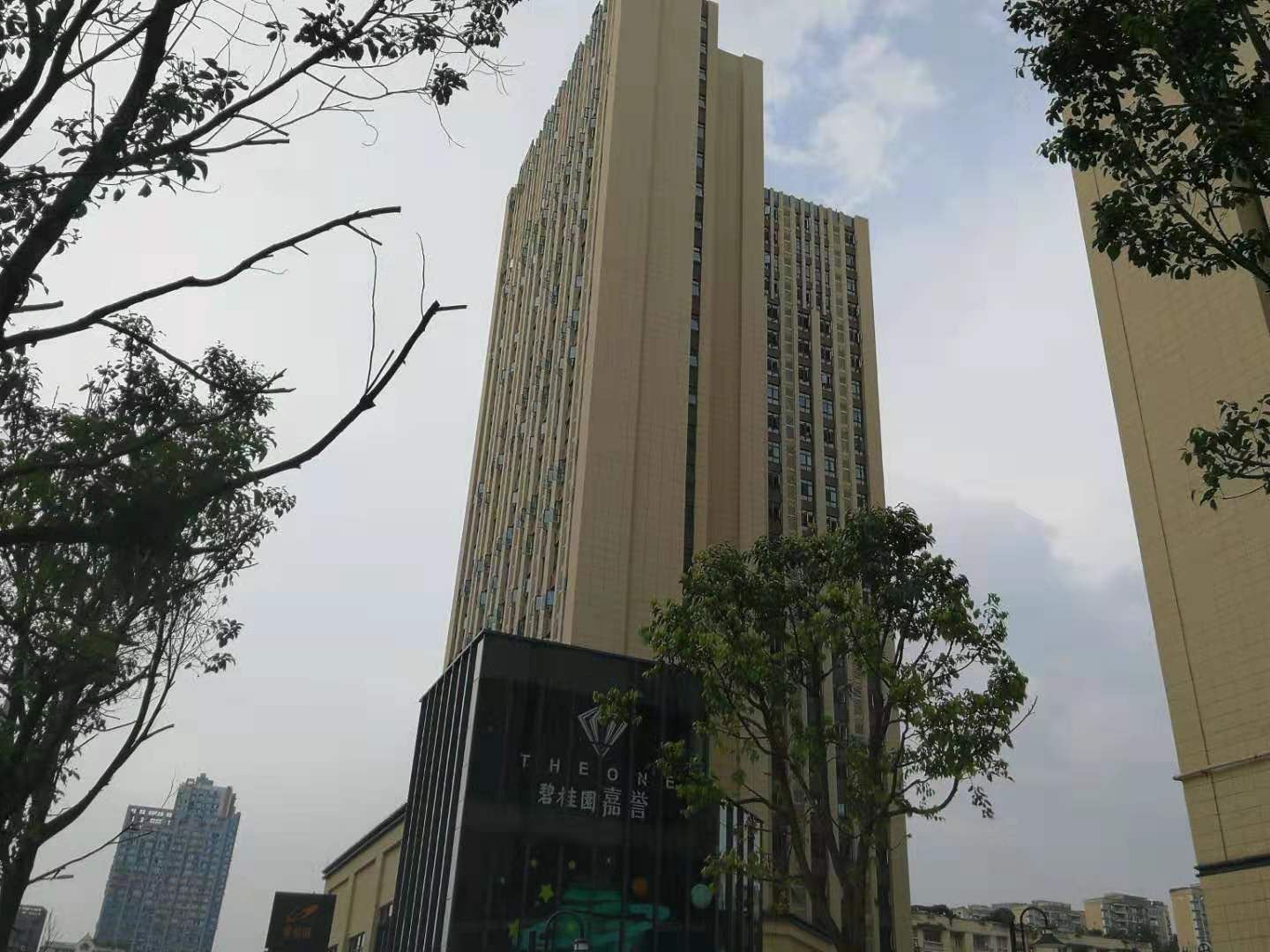 重庆丁丁公寓