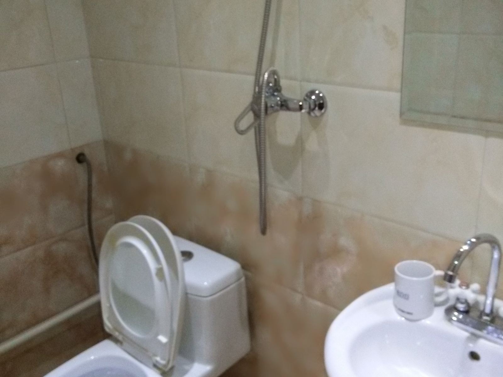 其他