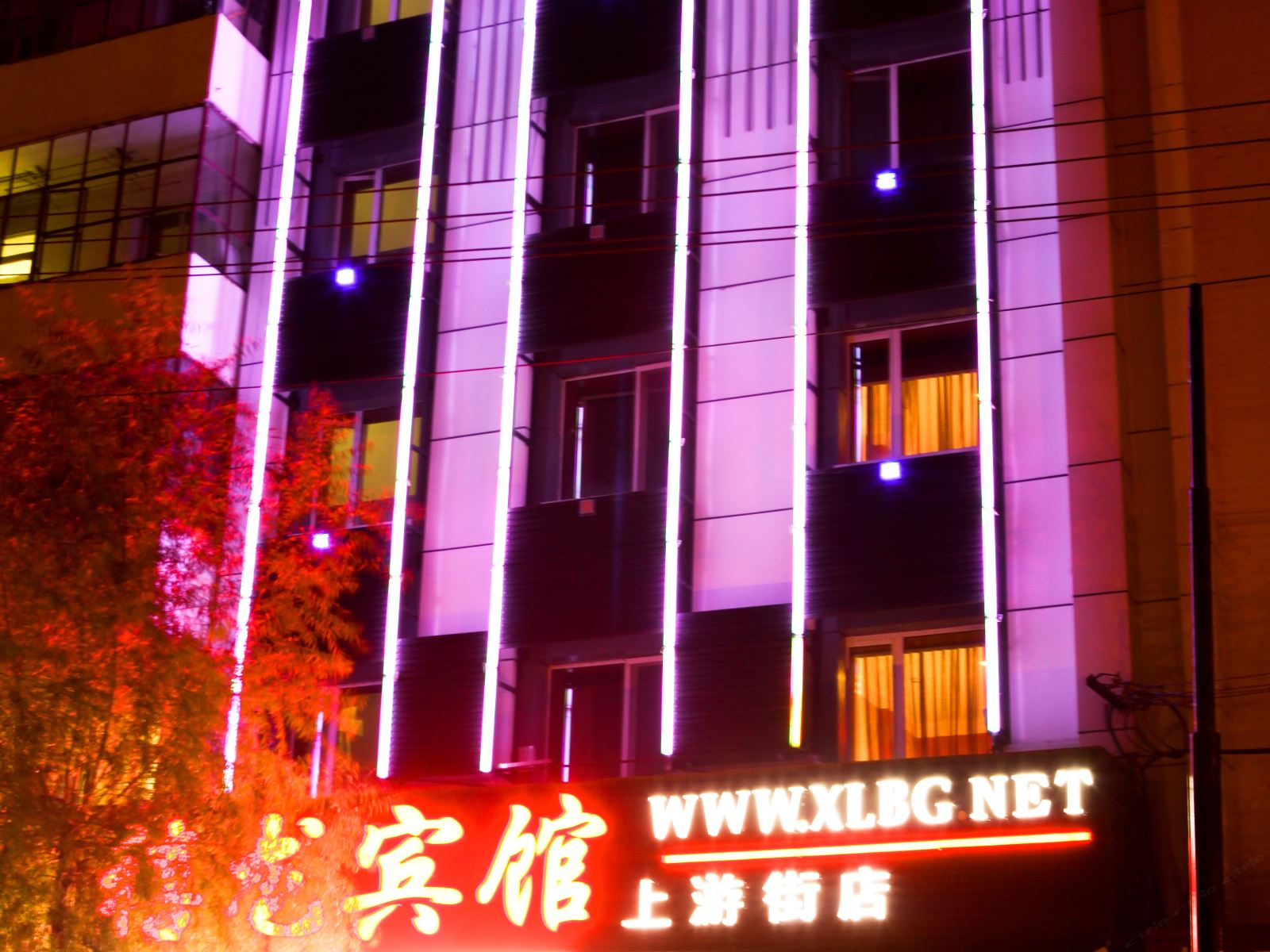 禧龙宾馆(哈尔滨上游街店)