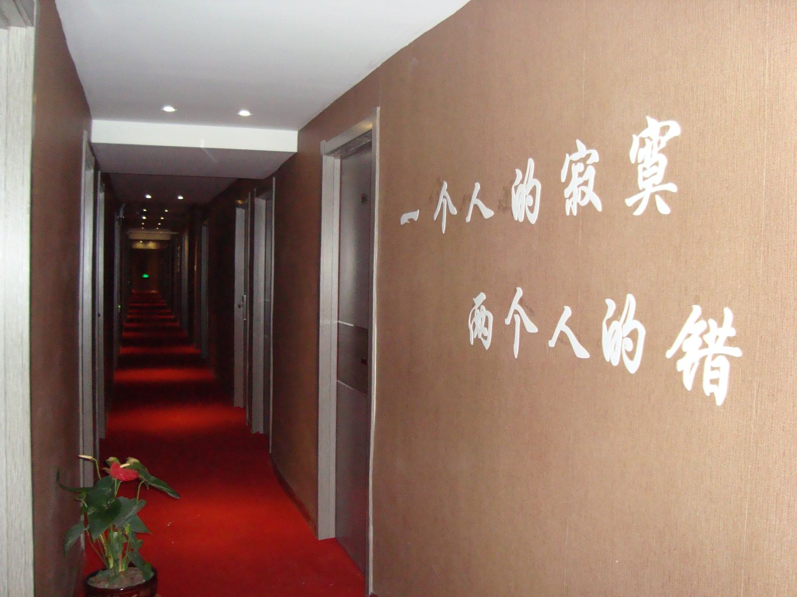公共区域
