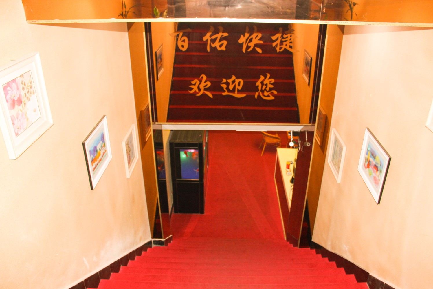 公共区域