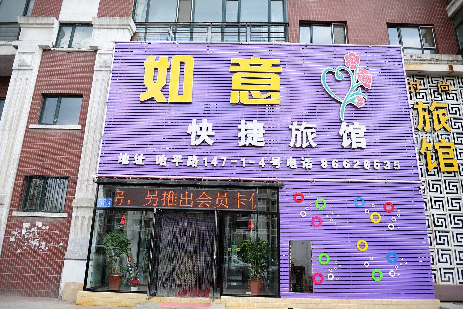 外观