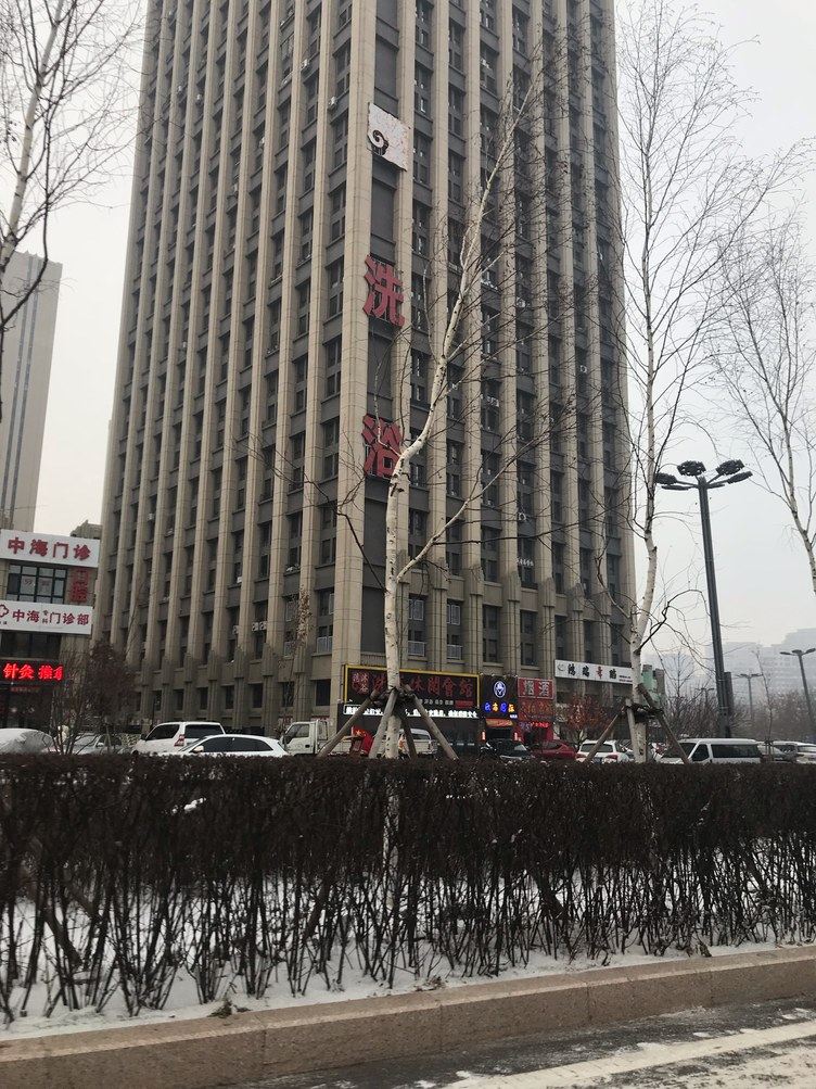 其他