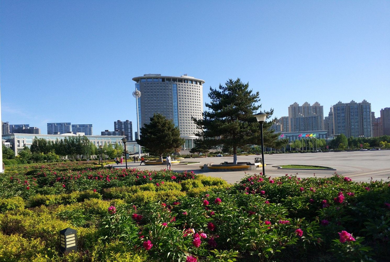 其他