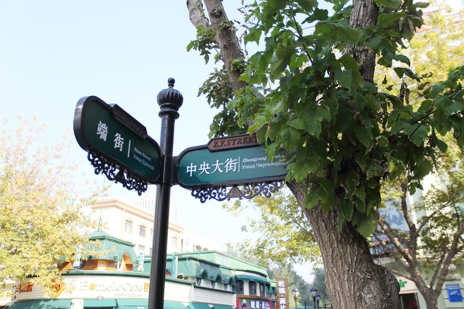 其他