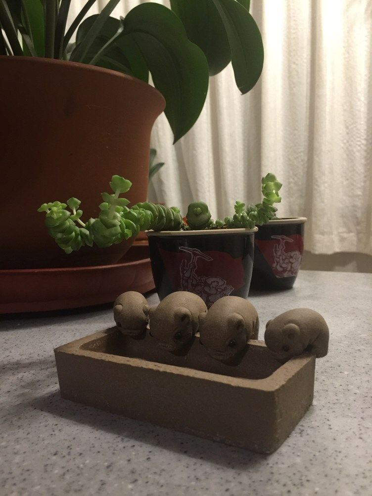 其他