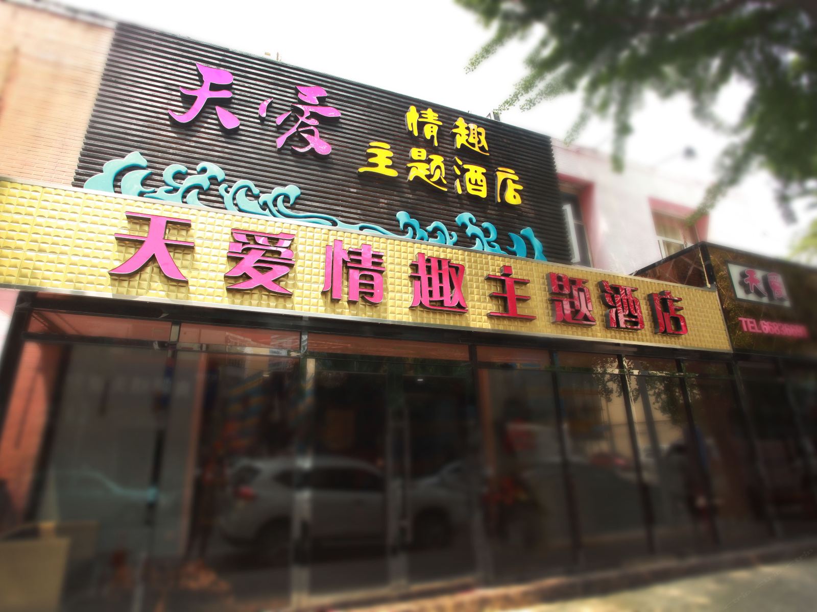 外观
