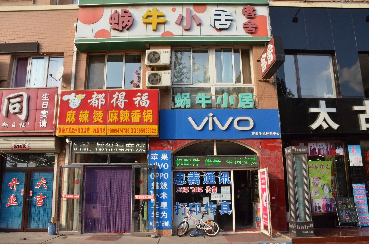 外观