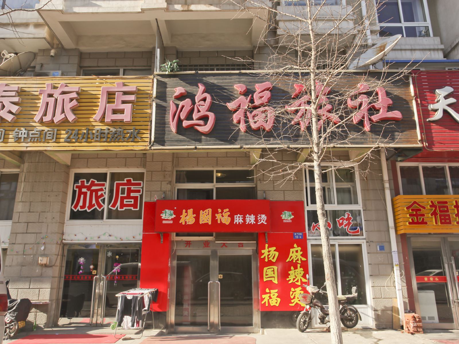外观