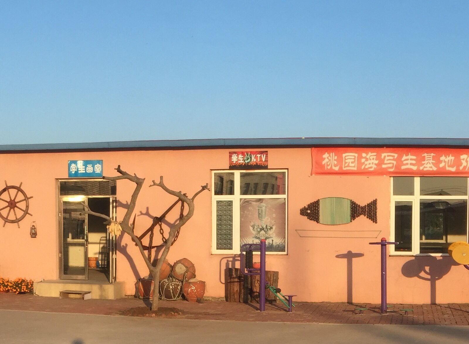 外观