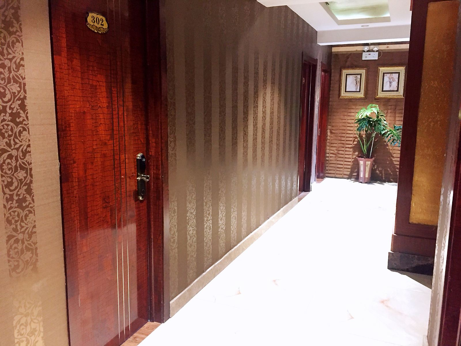 公共区域