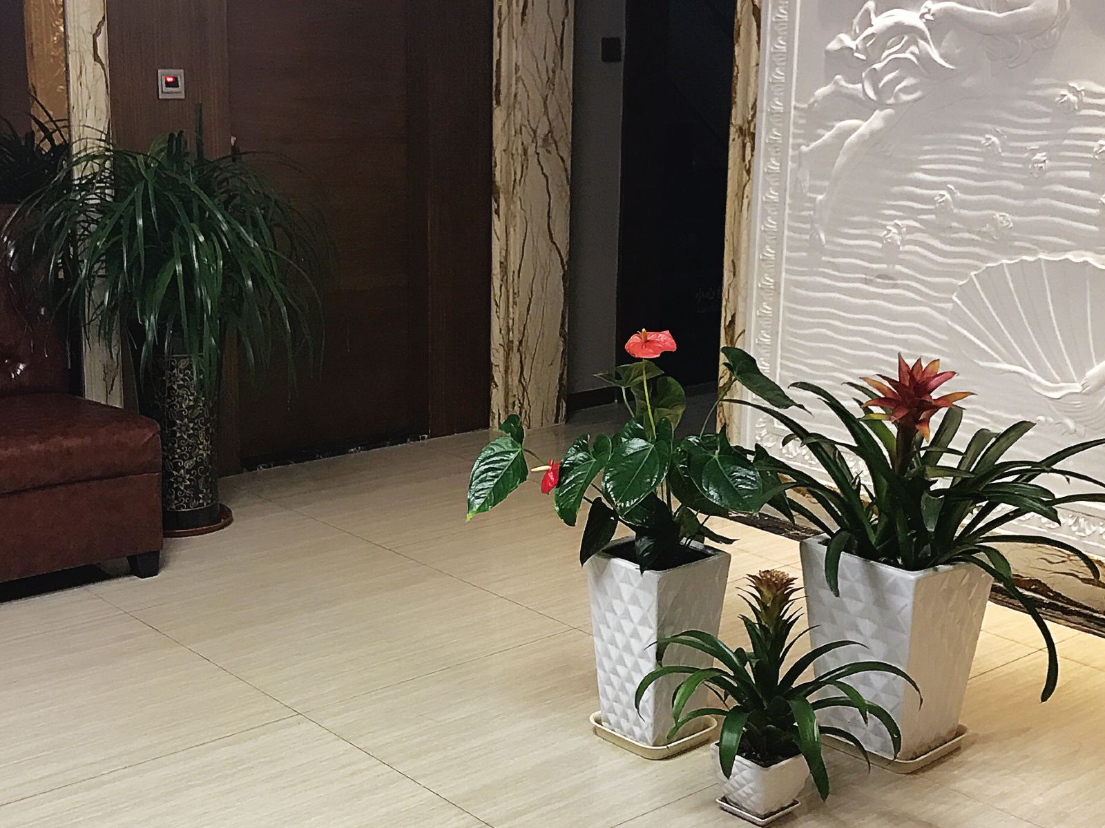 公共区域