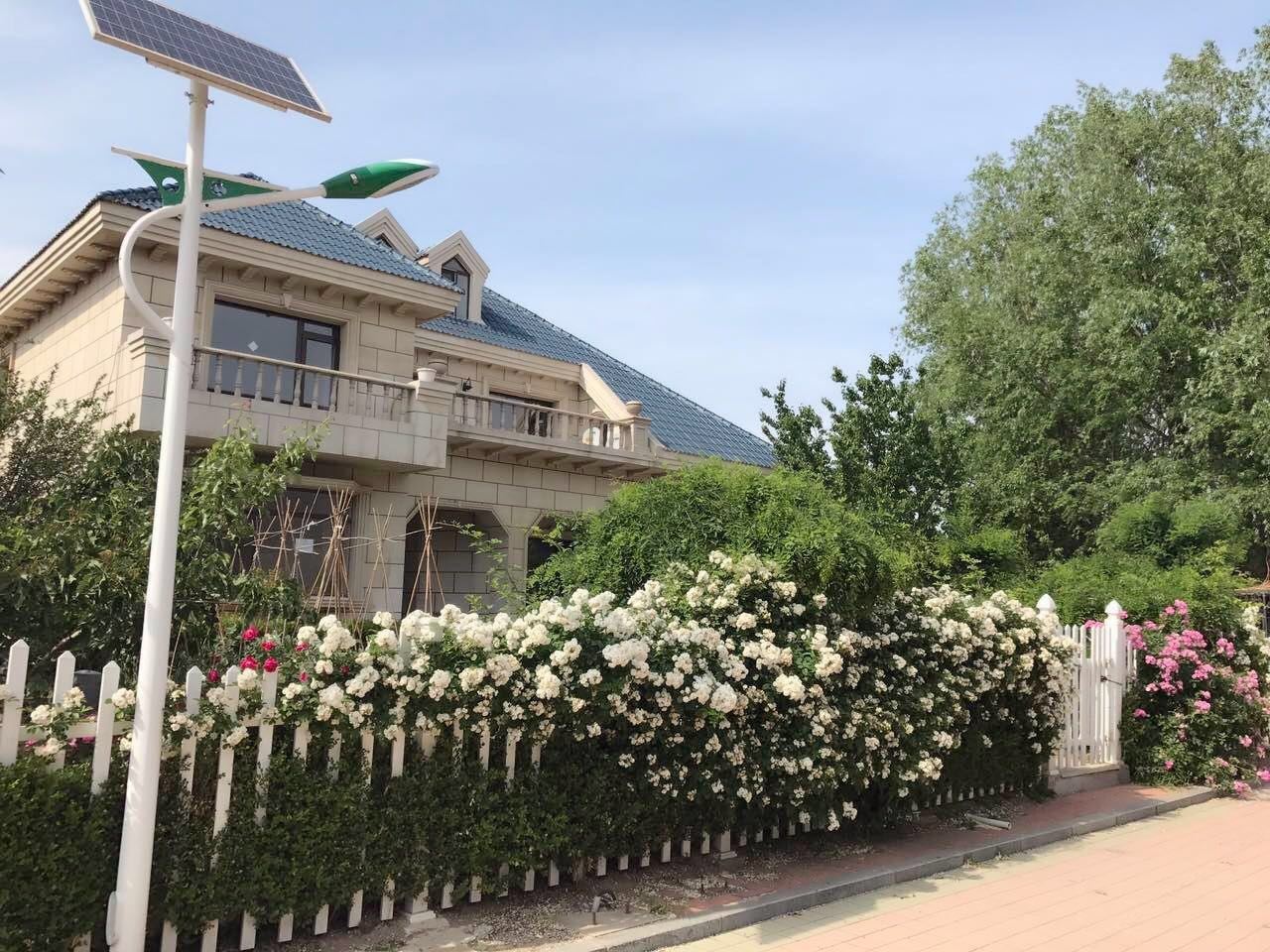 大连王老师度假别墅