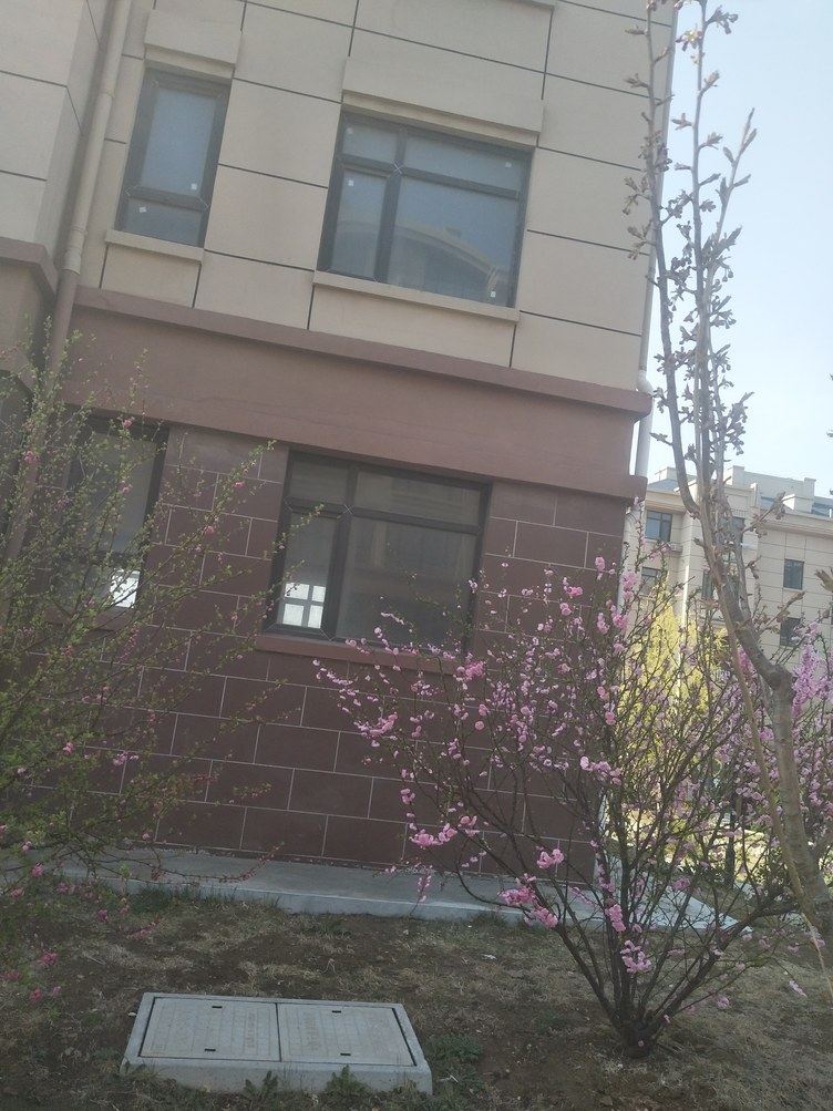 大连刘玉秋公寓